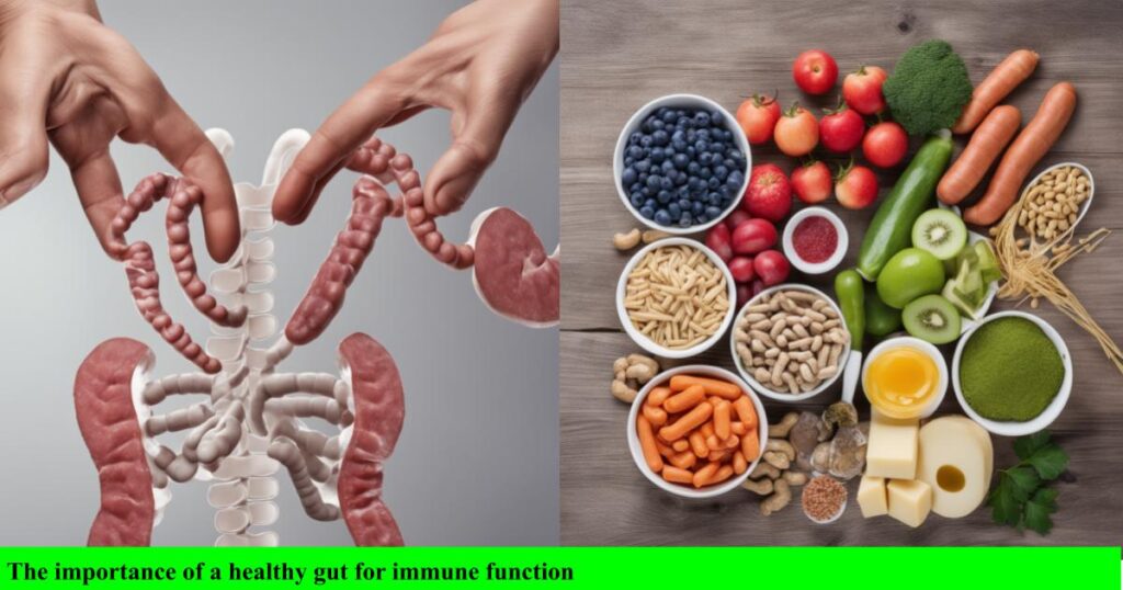 The importance of a healthy gut for immune function